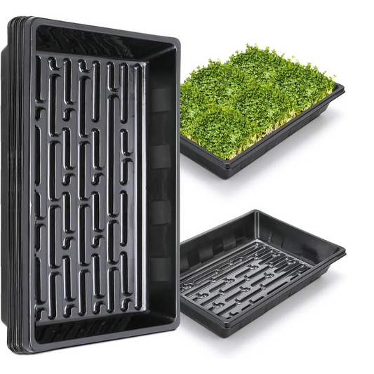 Microgreens Starter Tray