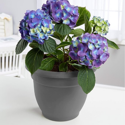 Self Watering Garden Planter